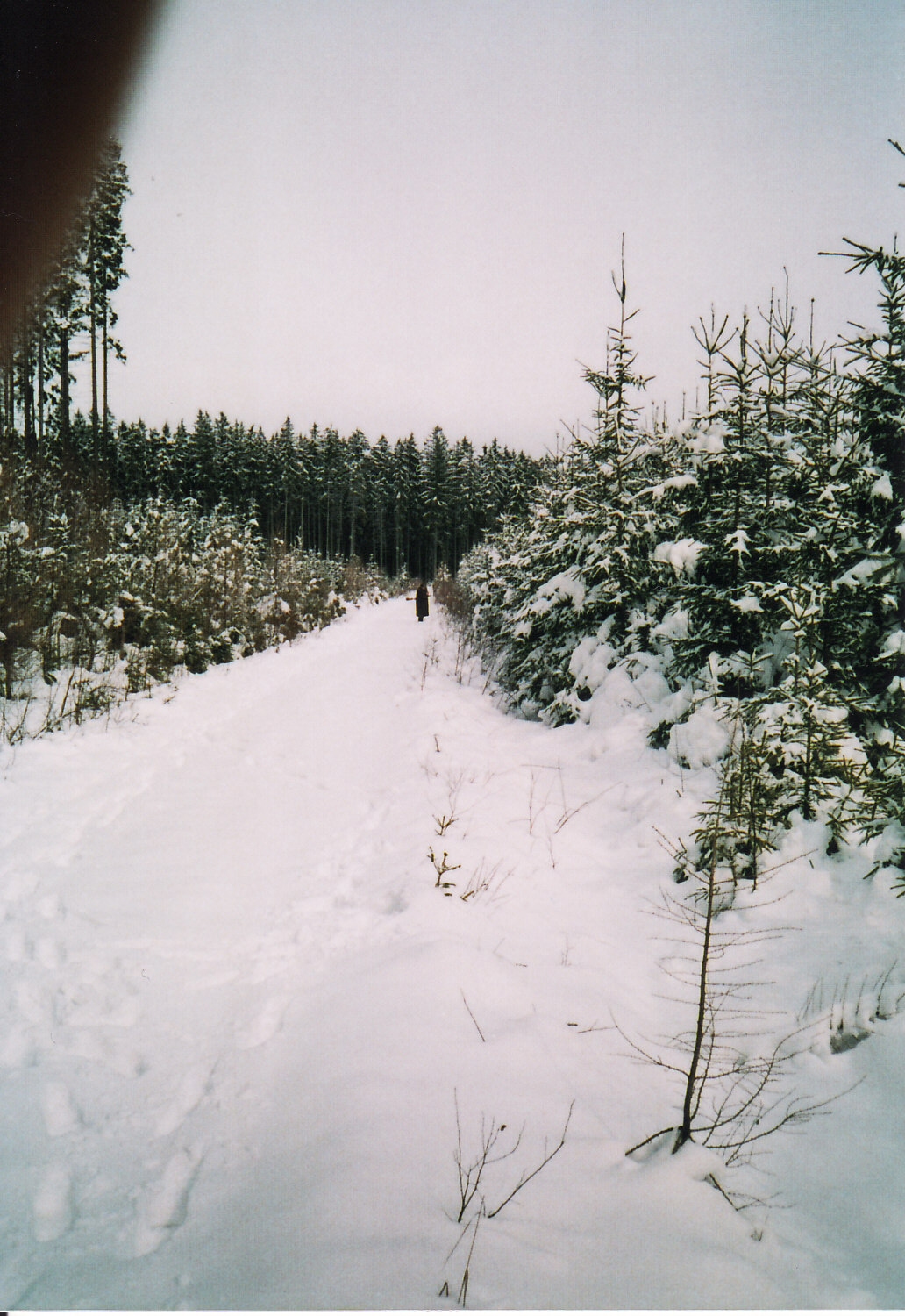 IMG_0020.jpg